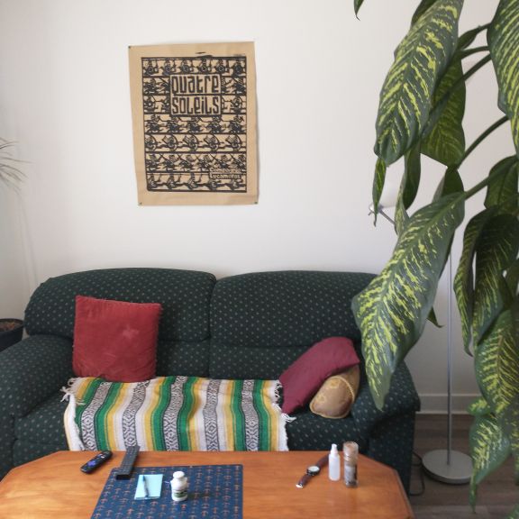 Cherche Colocataire - Photo 1