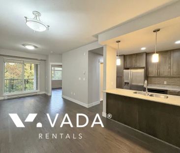 1 Bedroom Apartment For Rent in Port Coquitlam - Photo 1