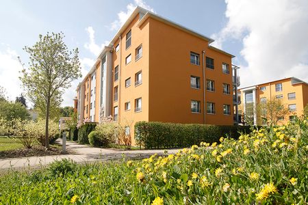 "Sonnige Aussichten für Sie!" - Foto 4