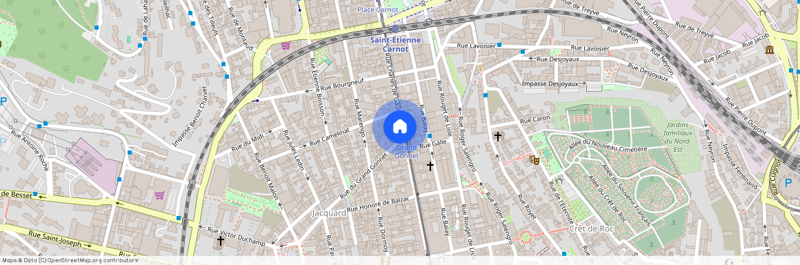 31 Rue Charles de Gaulle, 42021 Saint-Étienne, France