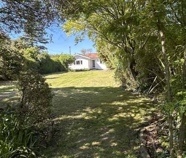 Big Home, Big Backyard, Great Location – Solway Living! - Photo 4