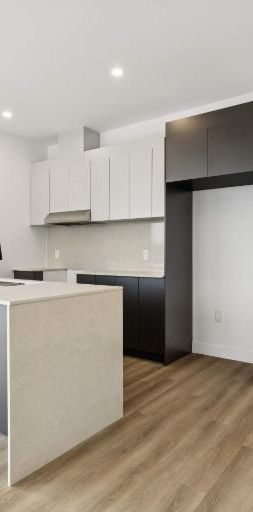 2 CH - 1 SDB - Salaberry-de-Valleyfield - $1,550 /mo - Photo 1