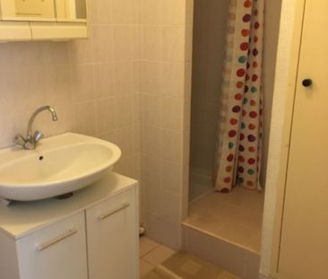 Location Appartement 1 pièce Meublé 26m² MONTPELLIER 34080 - Photo 3