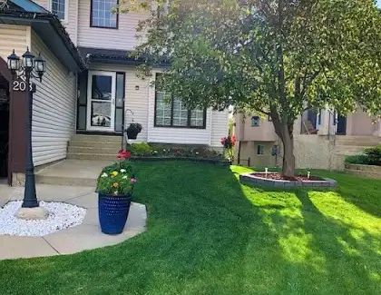 2 Bedroom Walkout Basement(back to park)at Citadel, NW for Rent from Oct 15,2025 | Calgary - Photo 1
