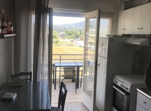Διαμέρισμα για ενοικίαση - Σιθωνία, - Photo 5
