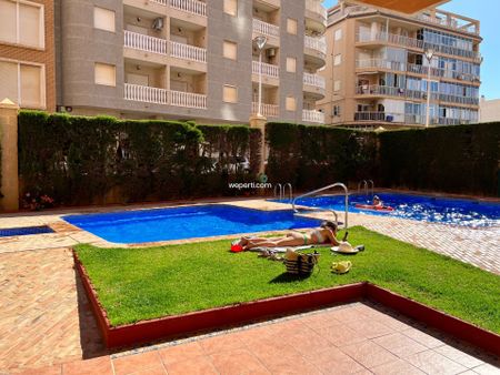 Apartment in Torrevieja, Playa de los Locos, for rent - Photo 4