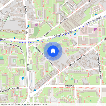 ul. Bohdana Zaleskiego, Szwederowo, Bydgoszcz, kujawsko-pomorskie