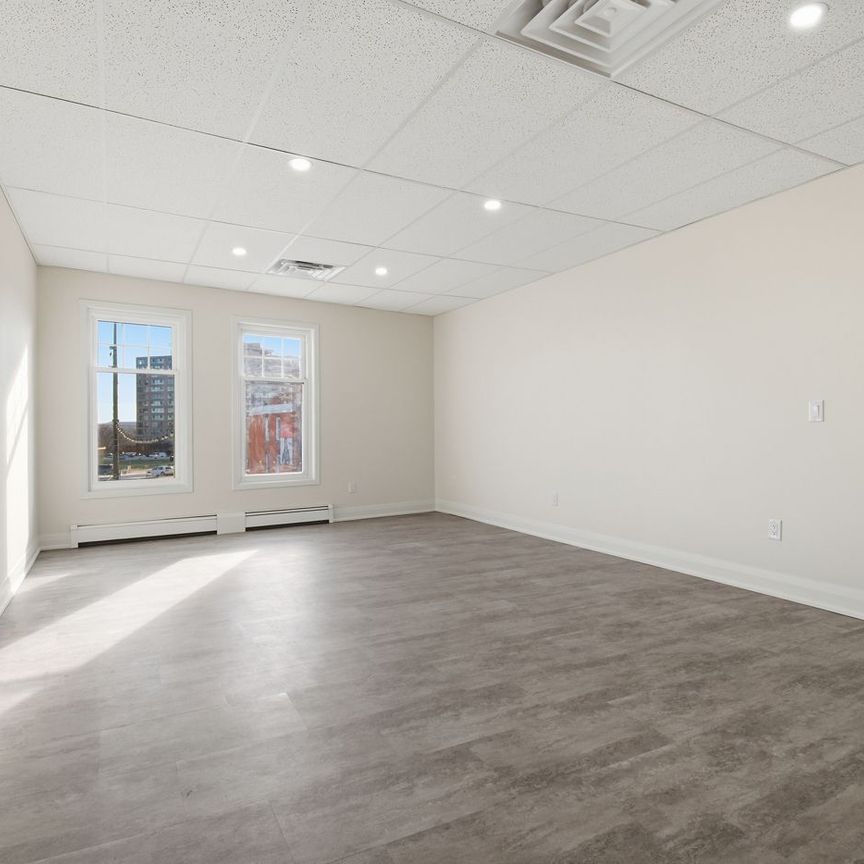 For Lease - 431 St. Paul Street Street Unit# 201, St. Catharines, Ontario - Photo 1