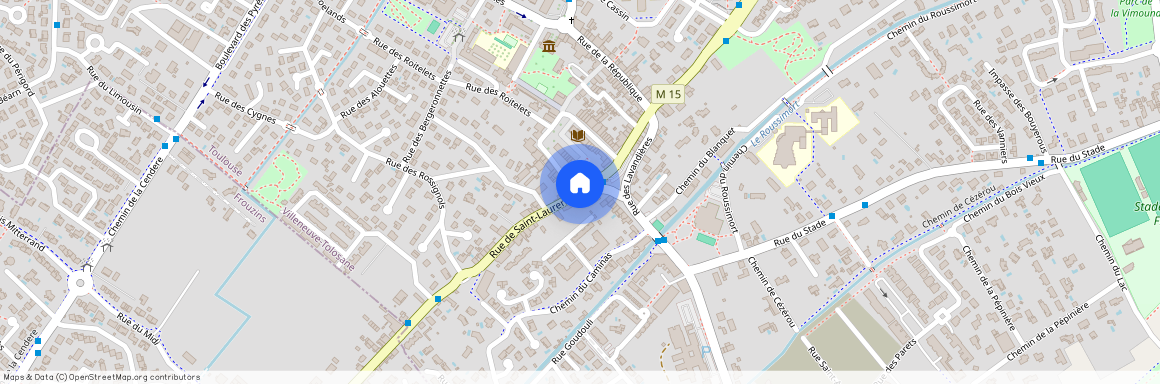 VILLENEUVE TOLOSANE (31270)