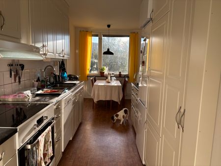 Djupövägen, Sollefteå - Photo 4