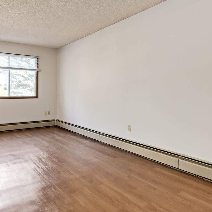 1 Bedroom - Photo 1