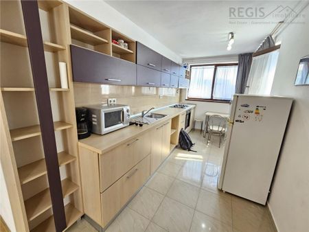 Studio Modern Astra str Vulturului -PET FRIENDLY - Fotografie 5