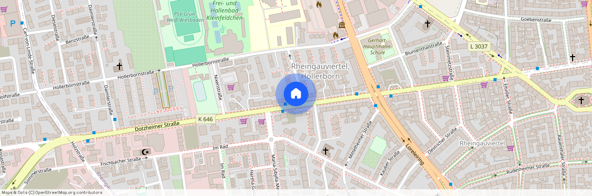 Dotzheimer Str. 117, 65197, Wiesbaden Ot Westend