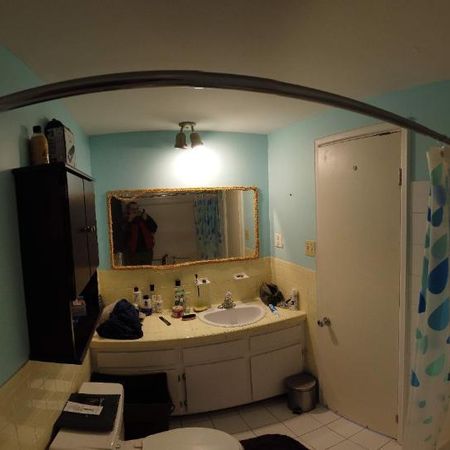 1 CH - 1 SDB - Québec - $997 /mo - Photo 3