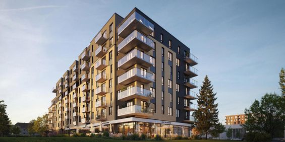 5,5 - 17 Hyman, Dollard-des-Ormeaux - Photo 3