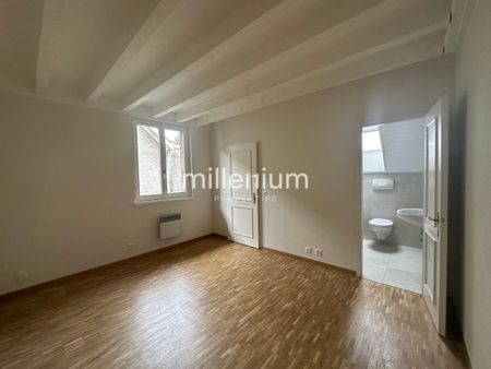 Duplex en attique rénové dans le vieux Carouge - Photo 2