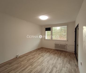 Pronájem bytu 3+1 53 m² - Photo 6