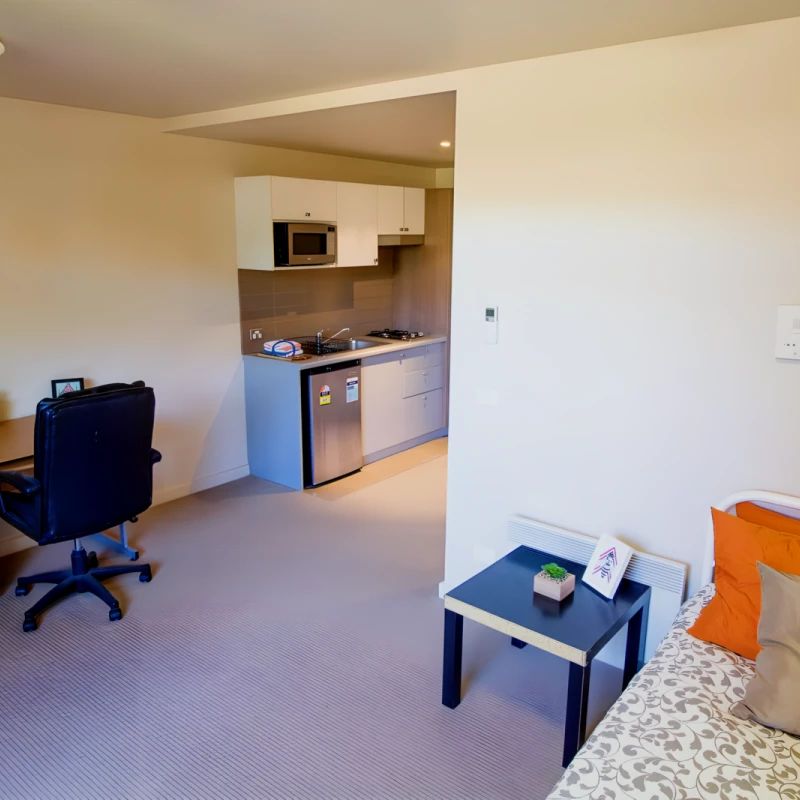 Large Studio - Photo 1