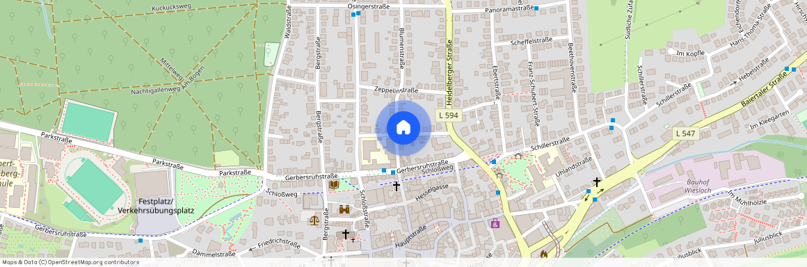 Zähringerstraße, 69168, · Wiesloch