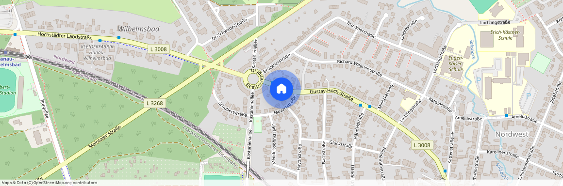 Gustav-Hoch-Straße 59, 63452, Hanau