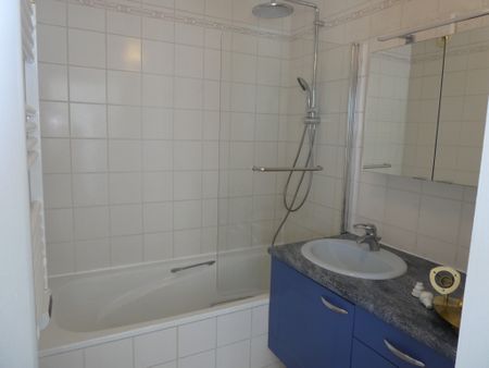 Location Appartement 1 pièce 30m² AVON 77210 - Photo 4