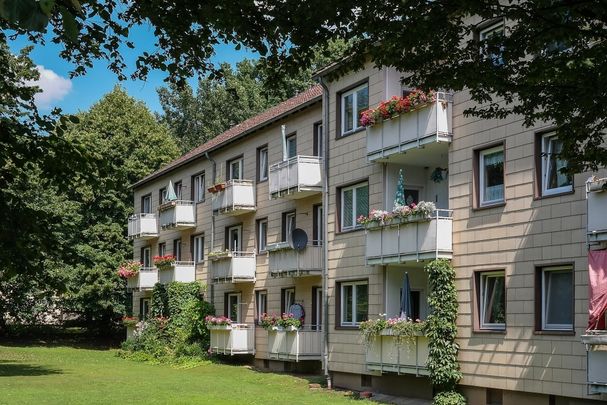 Wohnung im Wohltberg: Duschbad, Balkon und 2 Zimmer - Foto 1