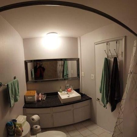 1 CH - 1 SDB - Québec - $899 /mo - Photo 4