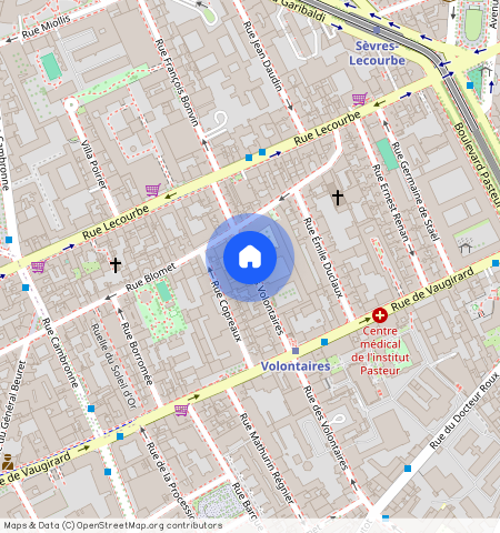 Rue des Volontaires, 75015, Paris