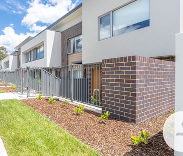 14/10 Ellison Harvie Cl, Greenway ACT 2900 - Townhouse For Rent | D... - Photo 5
