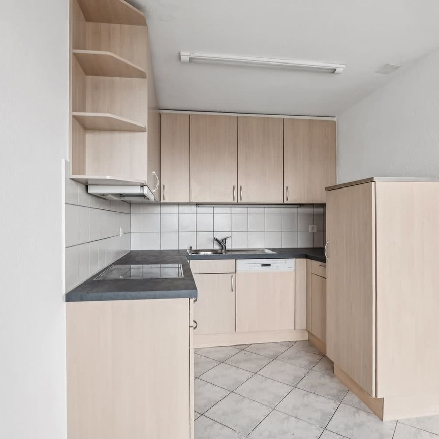 3.5 Zimmer, 67 m², EG - Foto 1