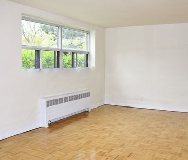 The Jansusie, Ruby & Sabs Gardens - Photo 5