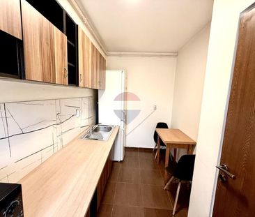 Apartament cu o camera de inchiriat pe Strada Plopilor. Pet Friendly - Photo 4
