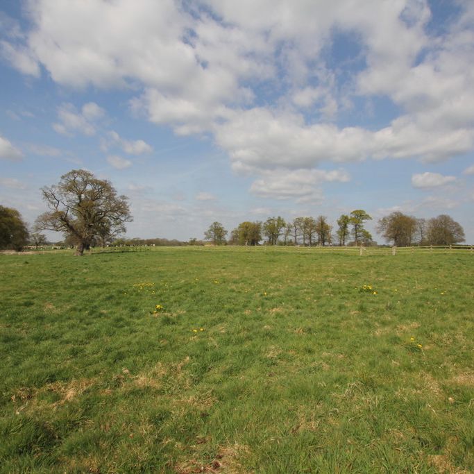 2 Bedroom COTTAGE, Aldersey - Photo 1