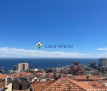 Location Appartement 1 pièce 31m² BEAUSOLEIL 06240 - Photo 1