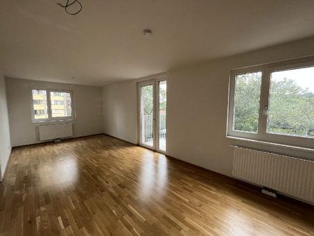 WINTERAKTION – Erster Monat Mietfrei! Helle 2-Zimmer-Wohnung mit Balkon! - Photo 4