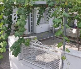 Μονοκατοικία για ενοικίαση - Πολίχνη, - Φωτογραφία 3