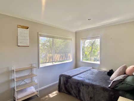 19B Cunliffe Street, Johnsonville - Photo 5