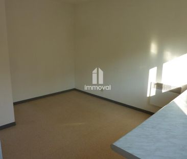 Location Appartement 1 pièce 19m² ILLKIRCH GRAFFENSTADEN 67400 - Photo 2