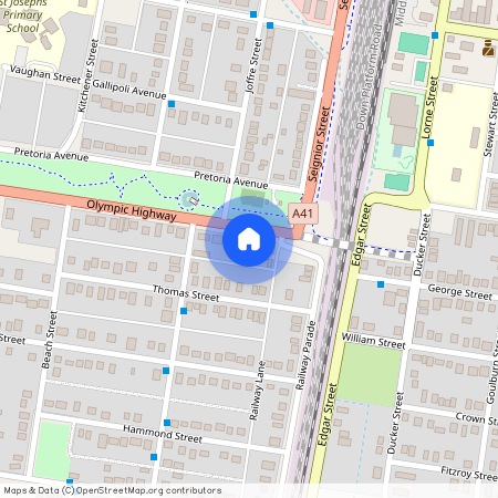 16 Kemp Street, NSW 2663, Junee