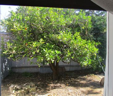 53A Arthur Street, Plympton Park, SA 5038 - Photo 6