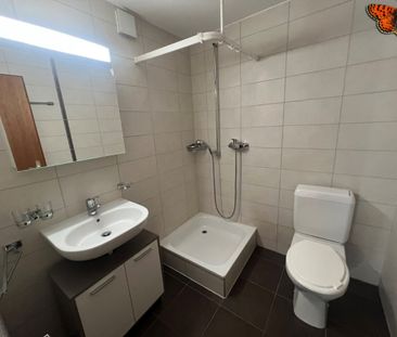 2 ½ pièces au Pâquier - Pour les amoureux de la nature ! - Photo 5