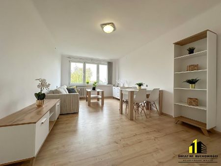 Mieszkanie śląskie Cieszyn powierzchnia 42.98 m² C395-WM-44956 - Zdjęcie 2