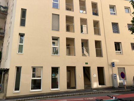 Stadthaus - Metahofgasse 5; 3 Zimmer Wohnung mit Terrasse TOP 1, [GF,MHG] - Photo 3