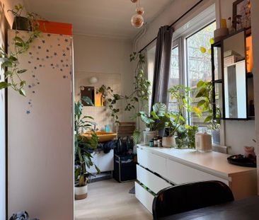 Diezerplein - Photo 4