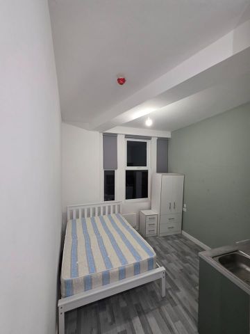 Studio Flat, Tottenham Lane, N8 - Photo 4