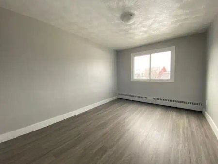 Chanteclair Apartments — Renovated 1 Bedroom - Photo 4