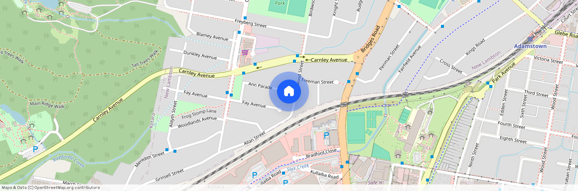 87 Birdwood Street, NSW 2305, New Lambton