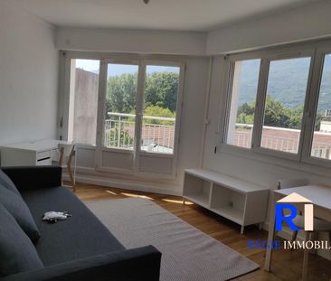 Location Appartement 1 pièce 29m² GRENOBLE 38100 - Photo 5