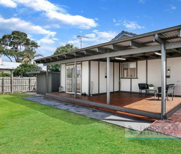 THIS IS THE ONE! - Photo 3