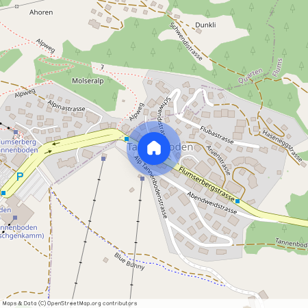 Auf Anfrage, 8898 Flumserberg Tannenbodenalp